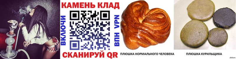 Наркошоп купить Гашиш АМФЕТАМИН МЕФ Бошки Шишки A PVP Санкт-Петербург